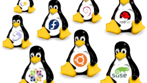 Choosing the Right Linux Distro