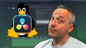 Resolve in Arch Linux