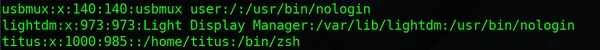 ZSH Switch