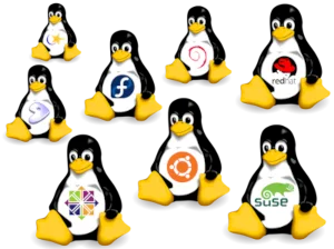 Choosing the Right Linux Distro